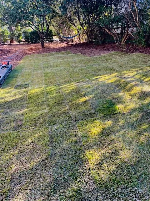 Top-rated landscape design in Wingate, NC - Honeycutt Landscaping