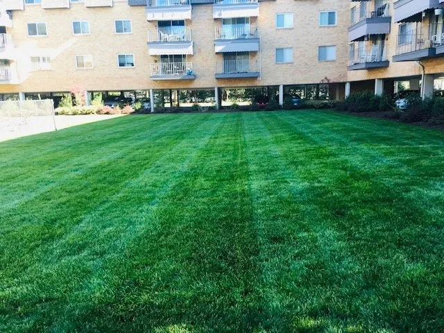 Professional landscaping services in Wingate, NC by Honeycutt Landscaping