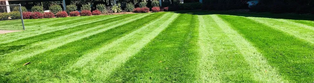 Expert yard cleanup service experts serving Wingate, NC - Honeycutt Landscaping