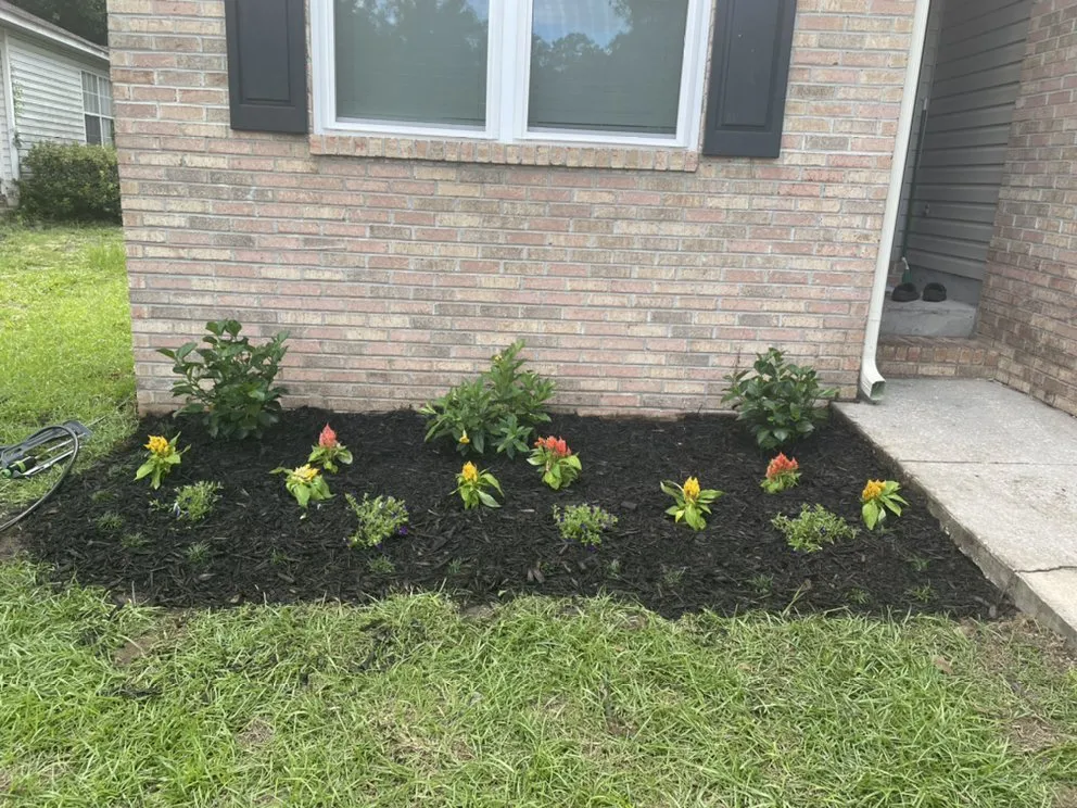 Expert yard cleanup service experts serving Tallahassee, FL - Honeydew Solutions