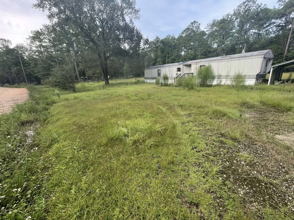 Affordable garden landscaping experts serving Tallahassee, FL - Honeydew Solutions