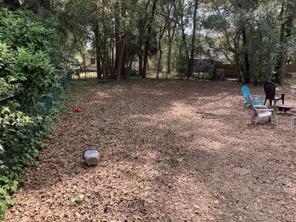 Professional landscaping services in Tallahassee, FL - Honeydew Solutions