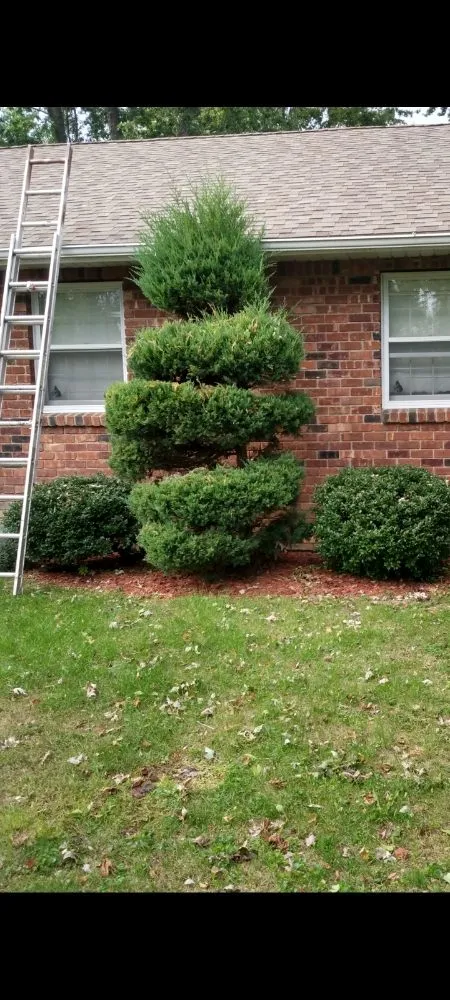 Custom landscaping services experts serving Port Huron, MI - HoneyDunn Outdoor Services