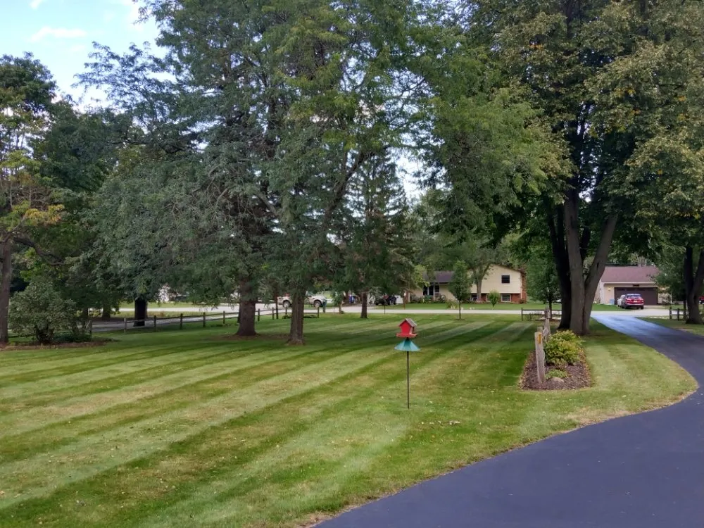 Reliable yard cleanup service for beautiful yards in Port Huron, MI by HoneyDunn Outdoor Services