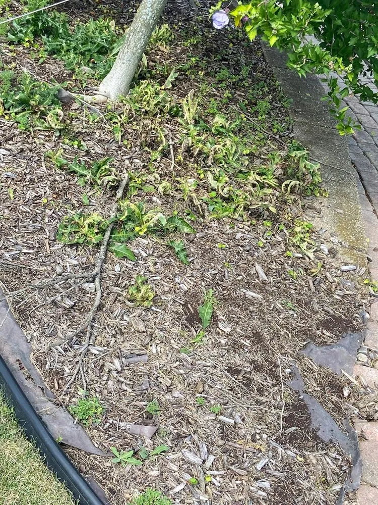 Trusted landscape design experts serving Port Huron, MI - HoneyDunn Outdoor Services