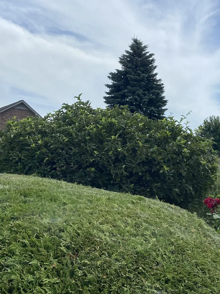 Custom garden landscaping near you in Port Huron, MI by HoneyDunn Outdoor Services