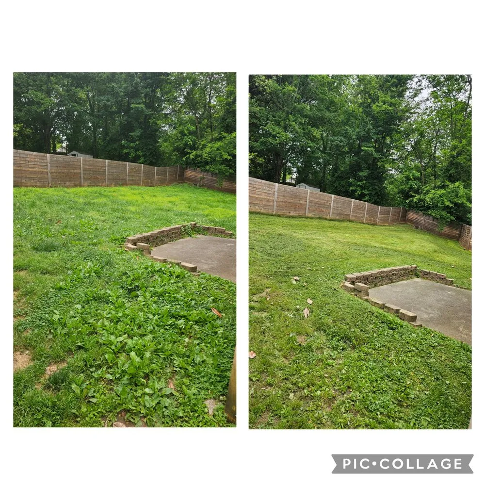 Professional outdoor landscaping experts serving Alcoa, TN - Honeysuckle Landscaping and Lawn Care