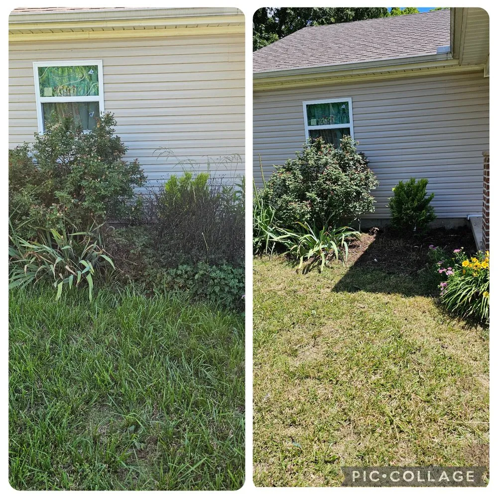 Local yard cleanup service for residential properties in Alcoa, TN by Honeysuckle Landscaping and Lawn Care
