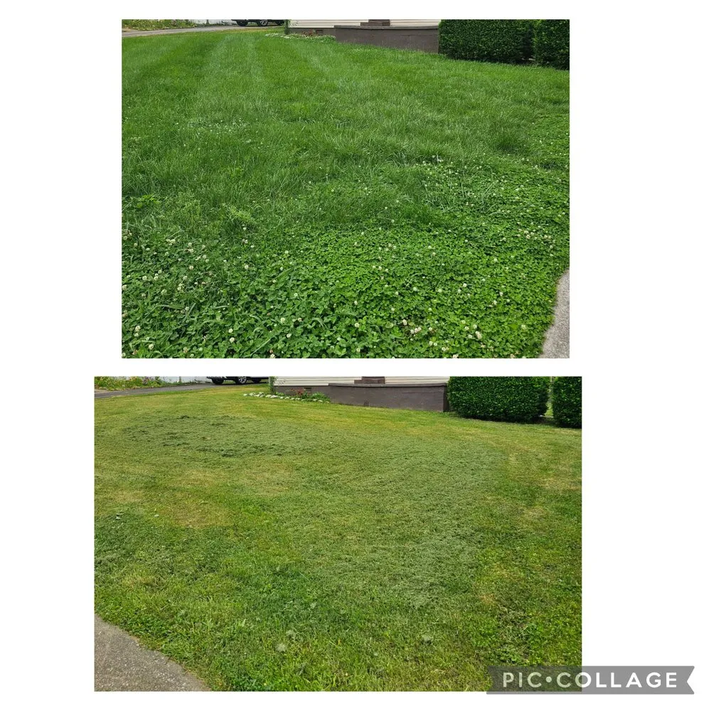 Affordable yard cleanup service in Alcoa, TN by Honeysuckle Landscaping and Lawn Care
