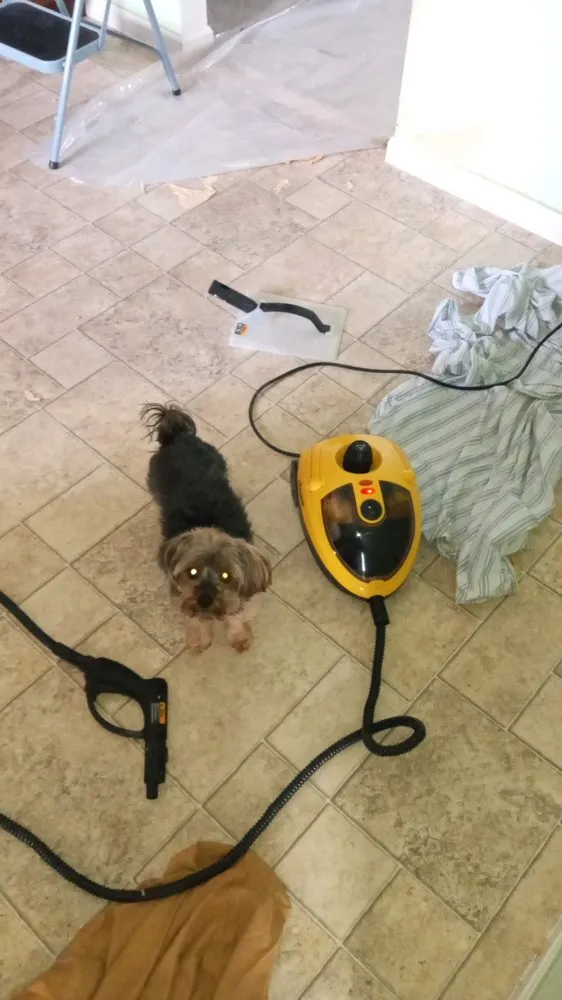 Professional lawn care service in New Cumberland, PA by Honeywood Property Maintenance