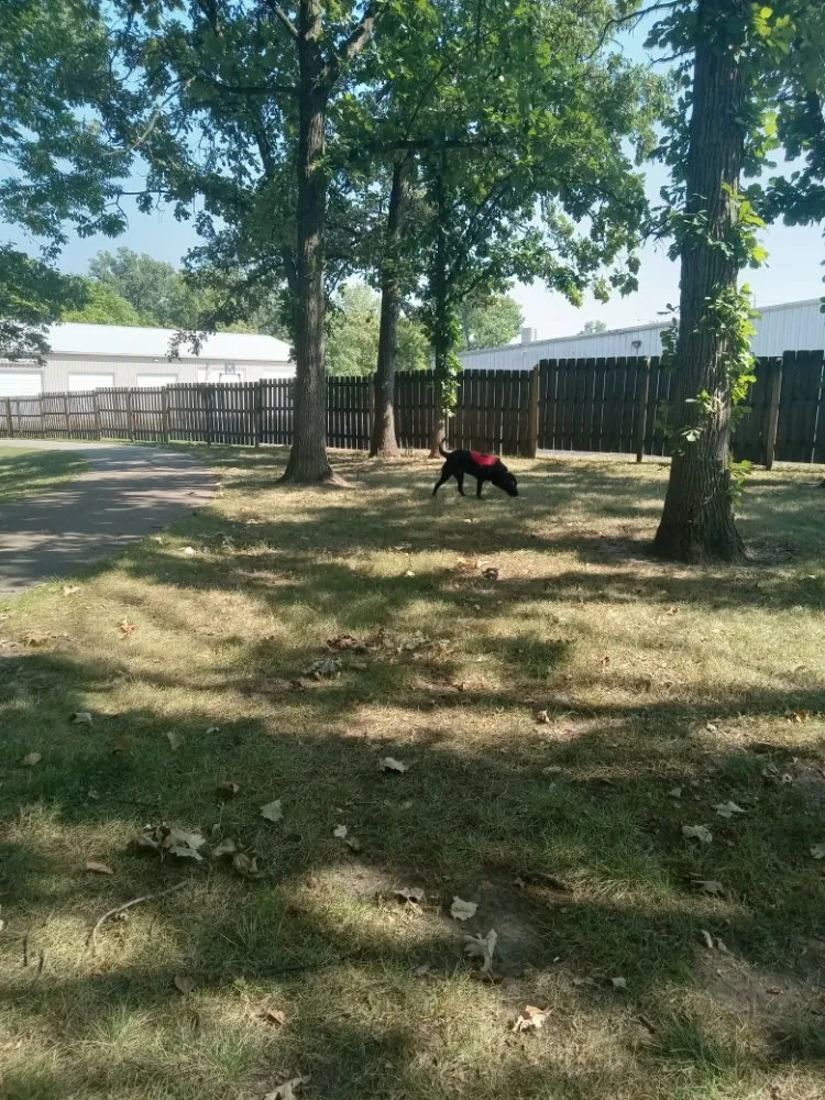 Affordable landscaping services in Morris, IL - Honiotes Bros