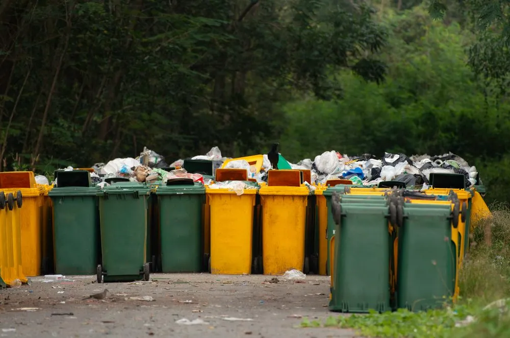 Professional garden landscaping in Honolulu, HI - Honolulu Yard and Lawn