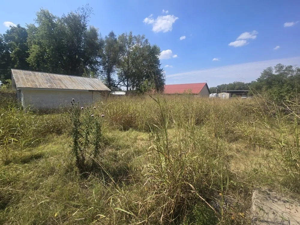 Affordable lawn care service for homes in Republic, MO by Honor & Pride