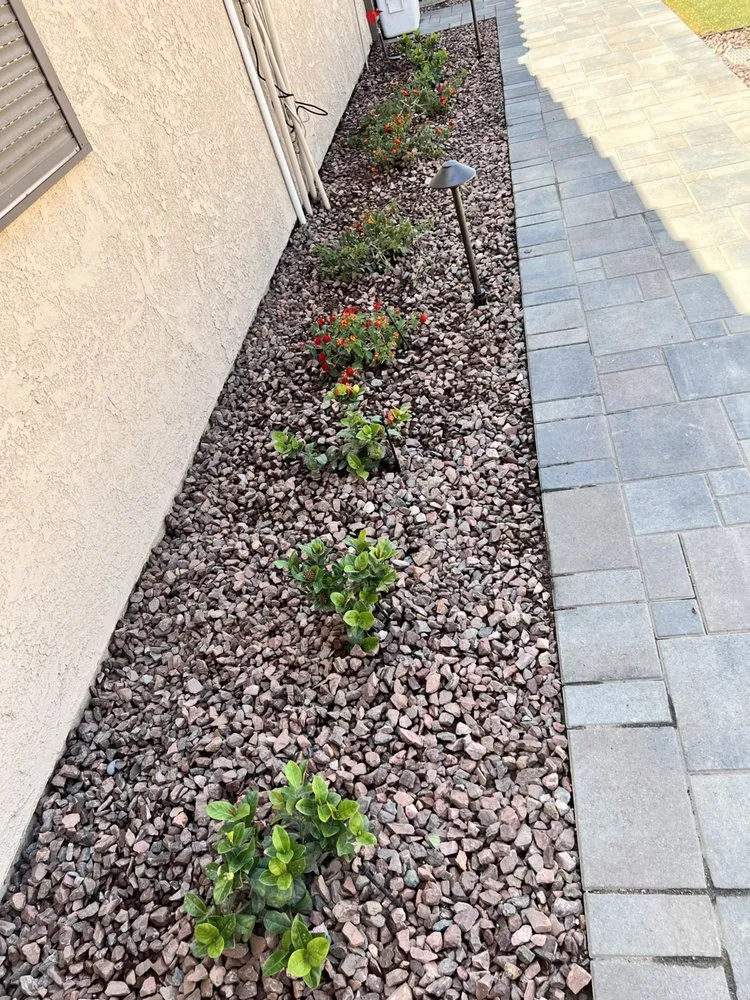 Custom yard cleanup service for beautiful yards in Rancho Mirage, CA by Honor Landscape