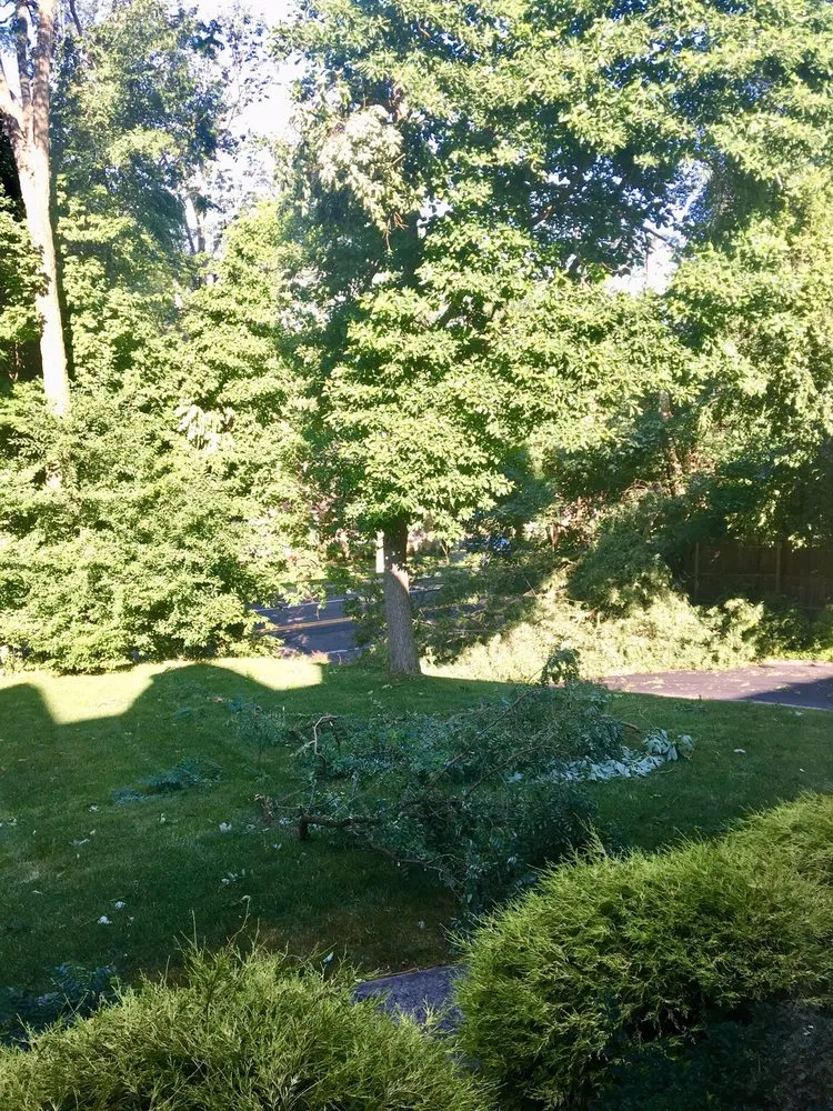 Professional lawn care service for homes across Madison, NJ - Honor Tree & Lawn Service