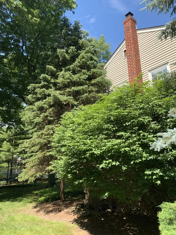 Custom outdoor landscaping in Madison, NJ - Honor Tree & Lawn Service