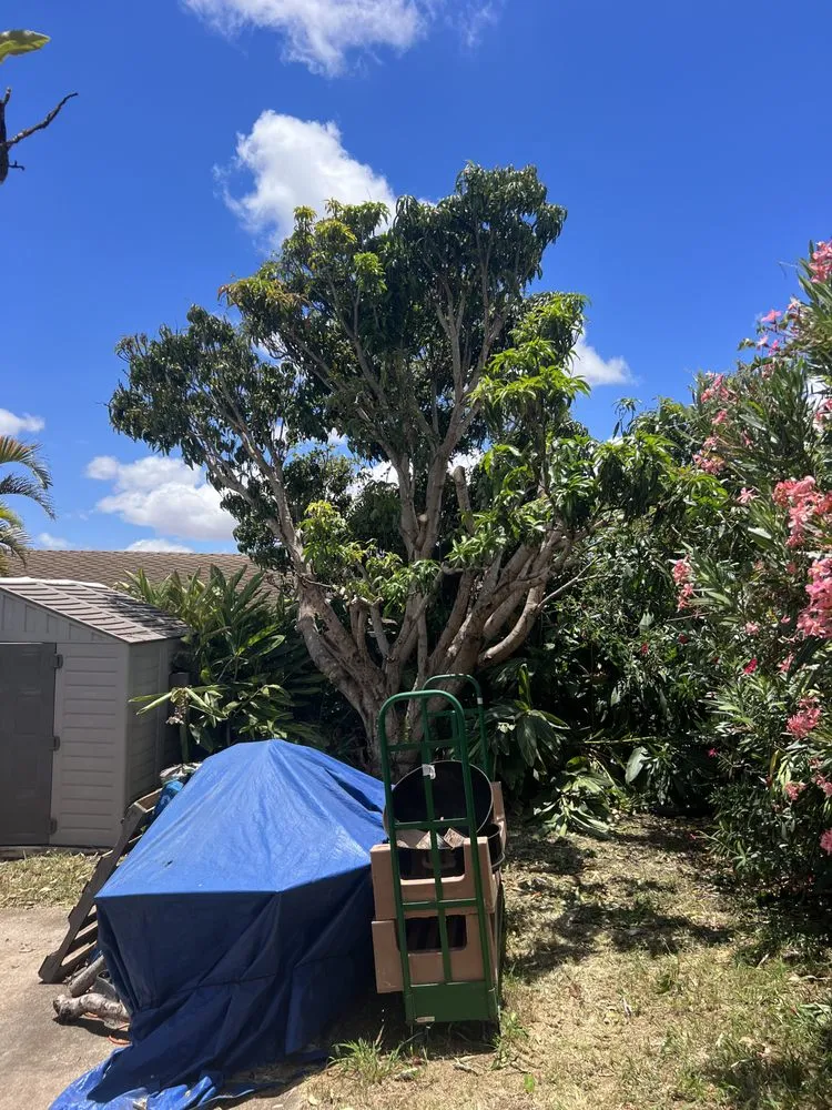 Expert residential landscaping in Makawao, HI by Honuaworks