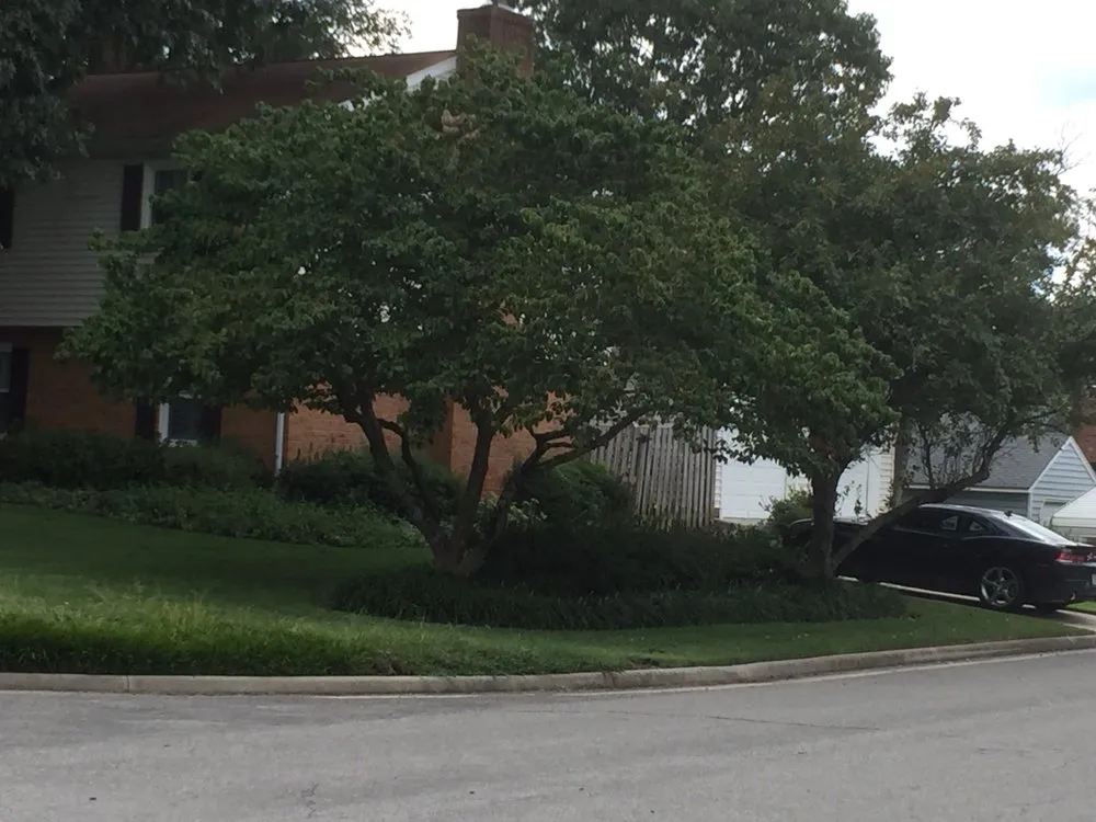 Trusted garden landscaping in Colonial Heights, VA by Hoo Ah Pressure Washing