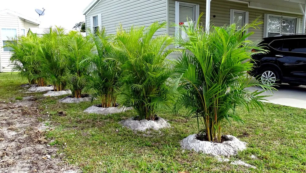 Trusted landscape installation experts serving Palm Bay, FL - Hooah Land Services