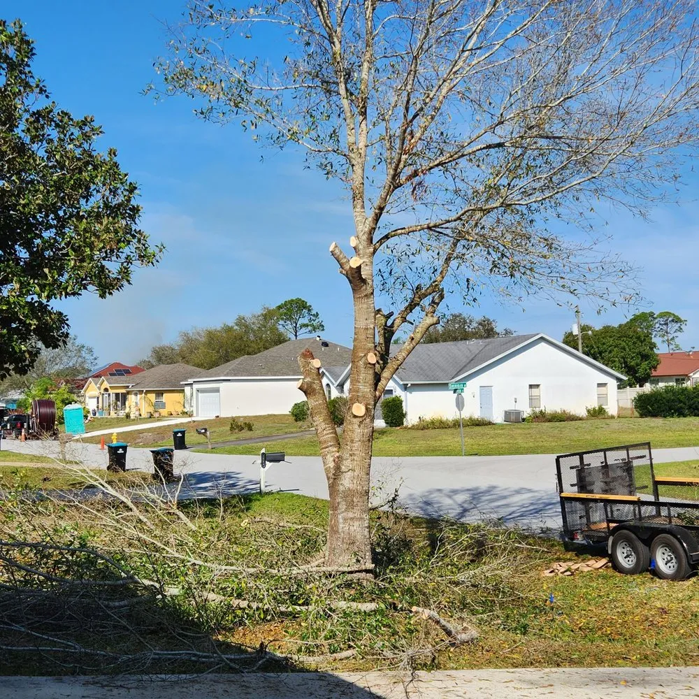 Expert lawn mowing service experts serving Palm Bay, FL - Hooah Land Services