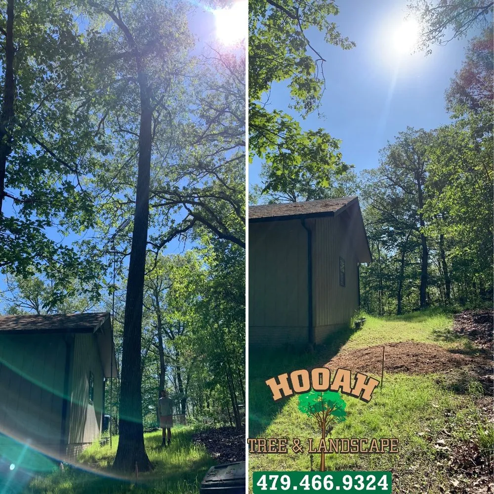 Affordable yard maintenance experts serving Bentonville, AR - Hooah Tree and Landscape