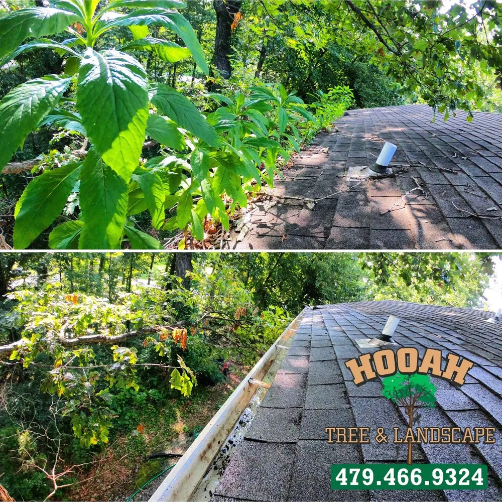 Professional yard maintenance for residential properties across Bentonville, AR - Hooah Tree and Landscape