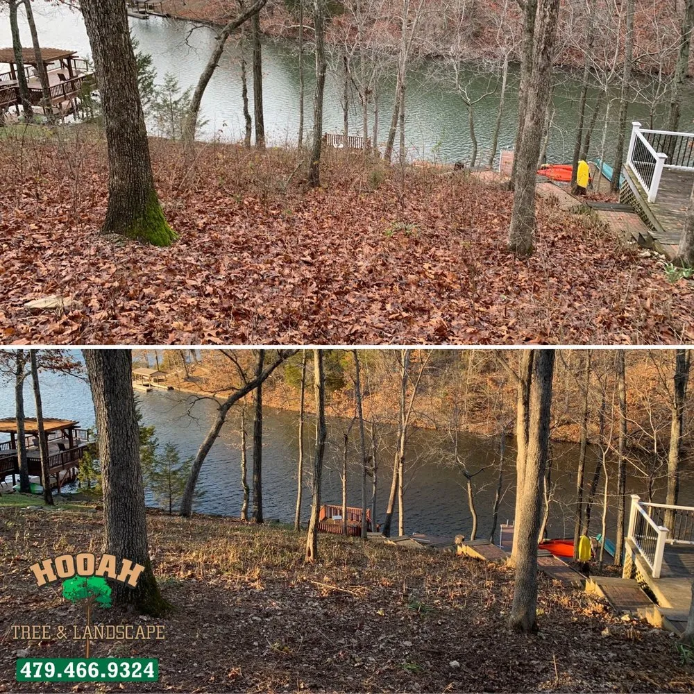 Affordable residential landscaping in Bentonville, AR - Hooah Tree and Landscape