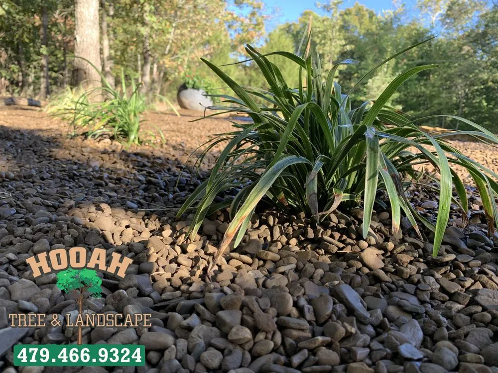 Professional landscape design in Bentonville, AR - Hooah Tree and Landscape