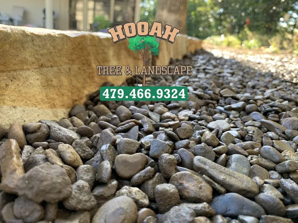 Trusted lawn care service in Bentonville, AR - Hooah Tree and Landscape