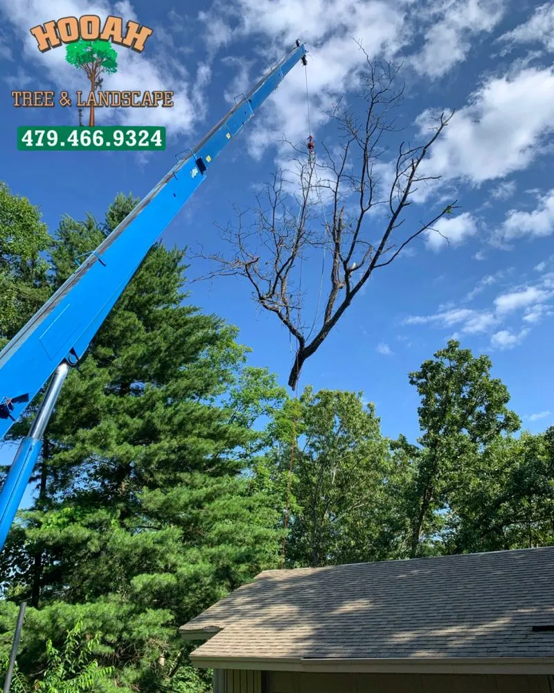 Trusted lawn mowing service in Bentonville, AR - Hooah Tree and Landscape