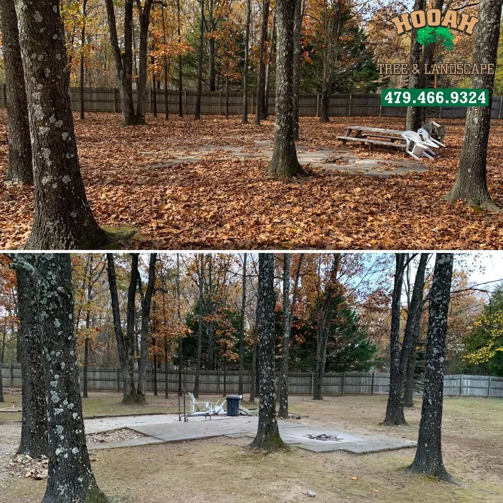 Local landscape installation for homes in Bentonville, AR by Hooah Tree and Landscape