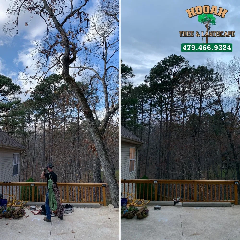 Professional landscape installation in Bentonville, AR by Hooah Tree and Landscape