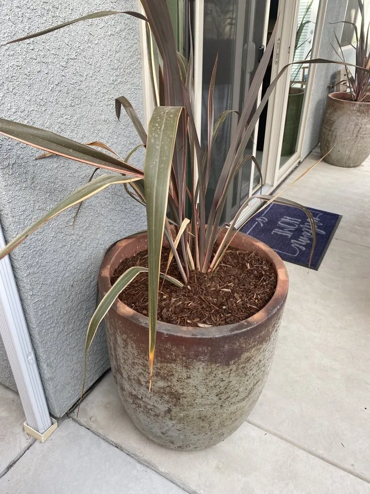 Professional landscaping services for homes across Fresno, CA - Hood Landscaping