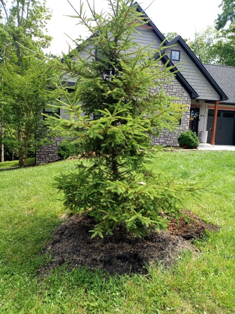 Affordable landscape installation in Georgetown, KY - Hoods Everything You Need An Want Masonry An Landscaping