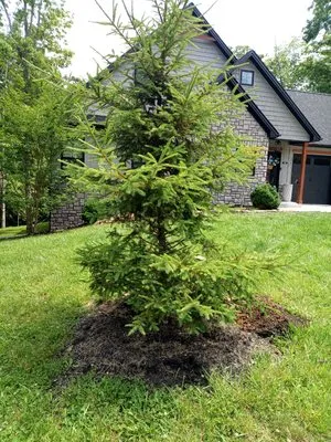 Hoods Everything You Need An Want Masonry An Landscaping Logo