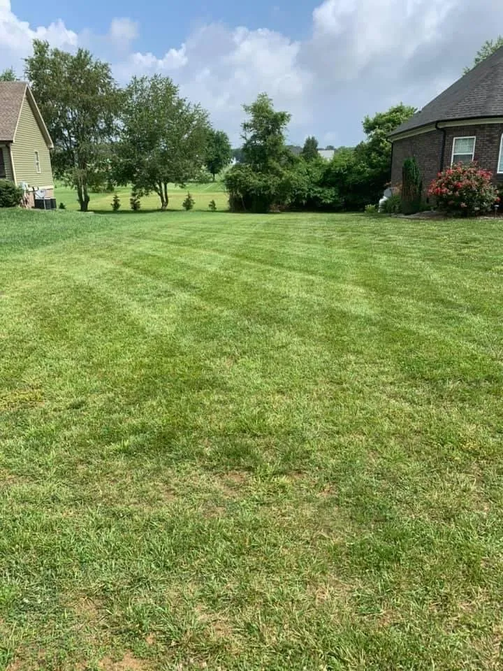 Professional residential landscaping experts serving Scottsville, KY - Hood’s lawncare