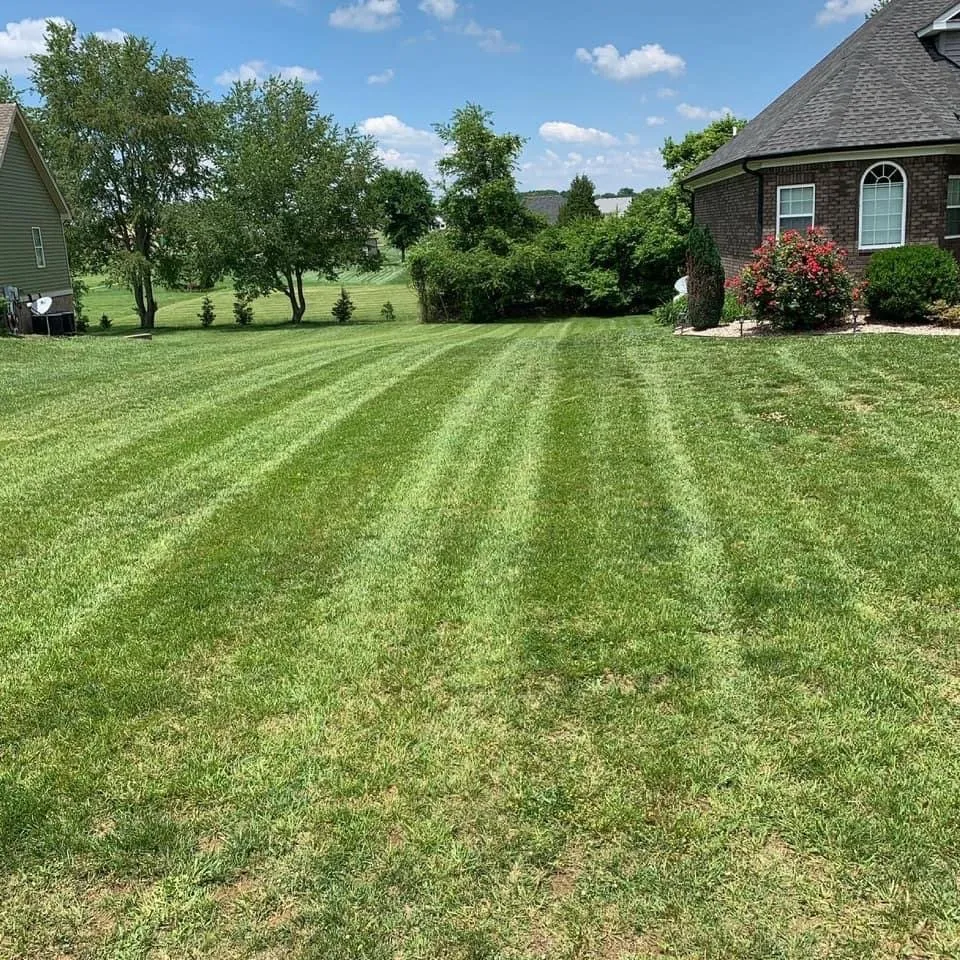 Expert yard maintenance experts serving Scottsville, KY - Hood’s lawncare
