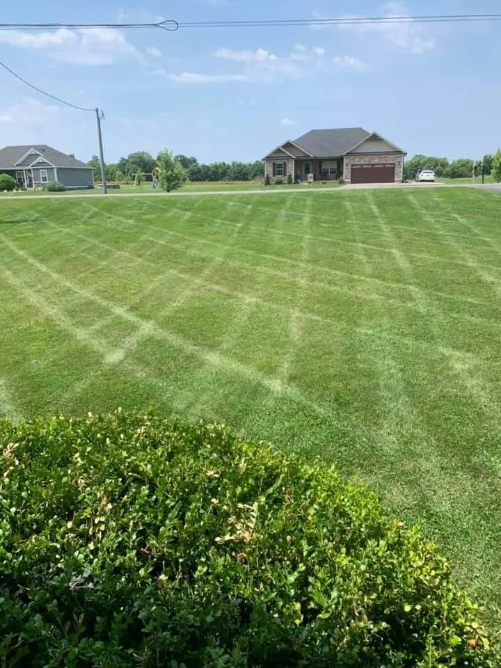 Professional residential landscaping in Scottsville, KY - Hood’s lawncare