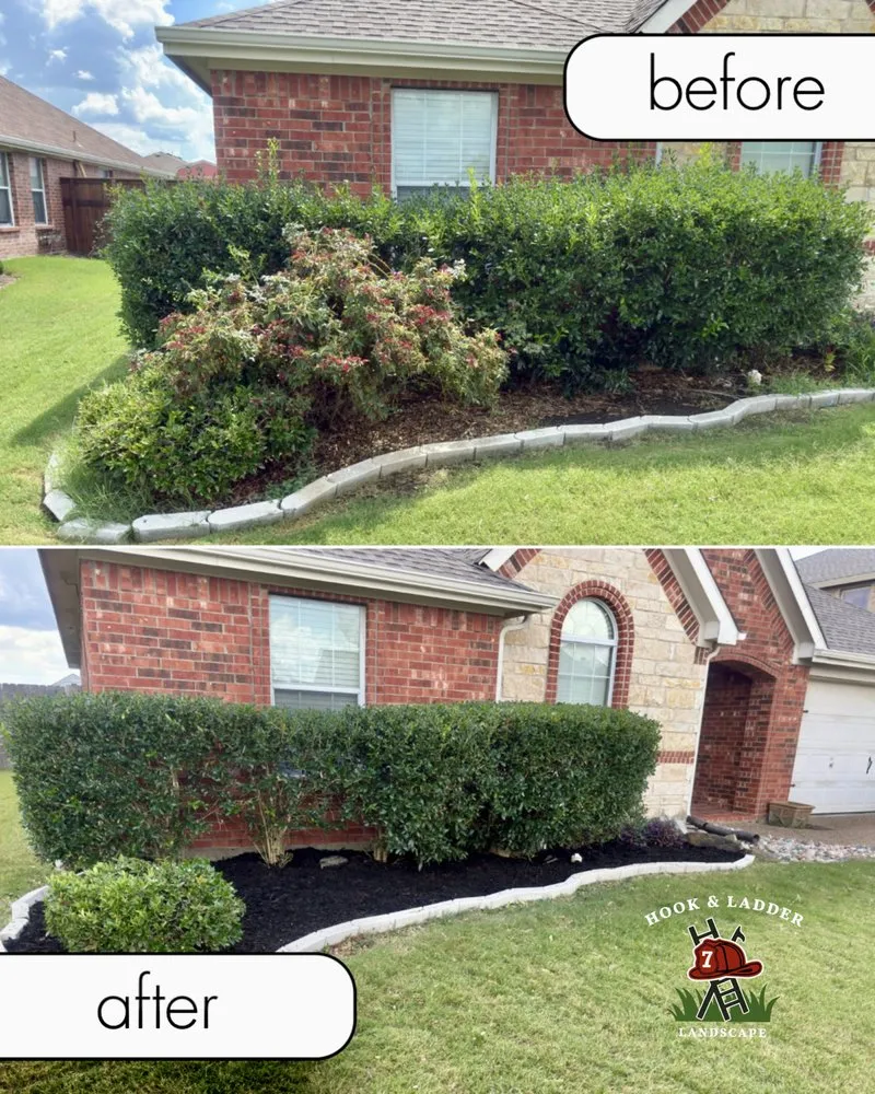 Trusted yard cleanup service near you in Royse City, TX by Hook & Ladder Landscape