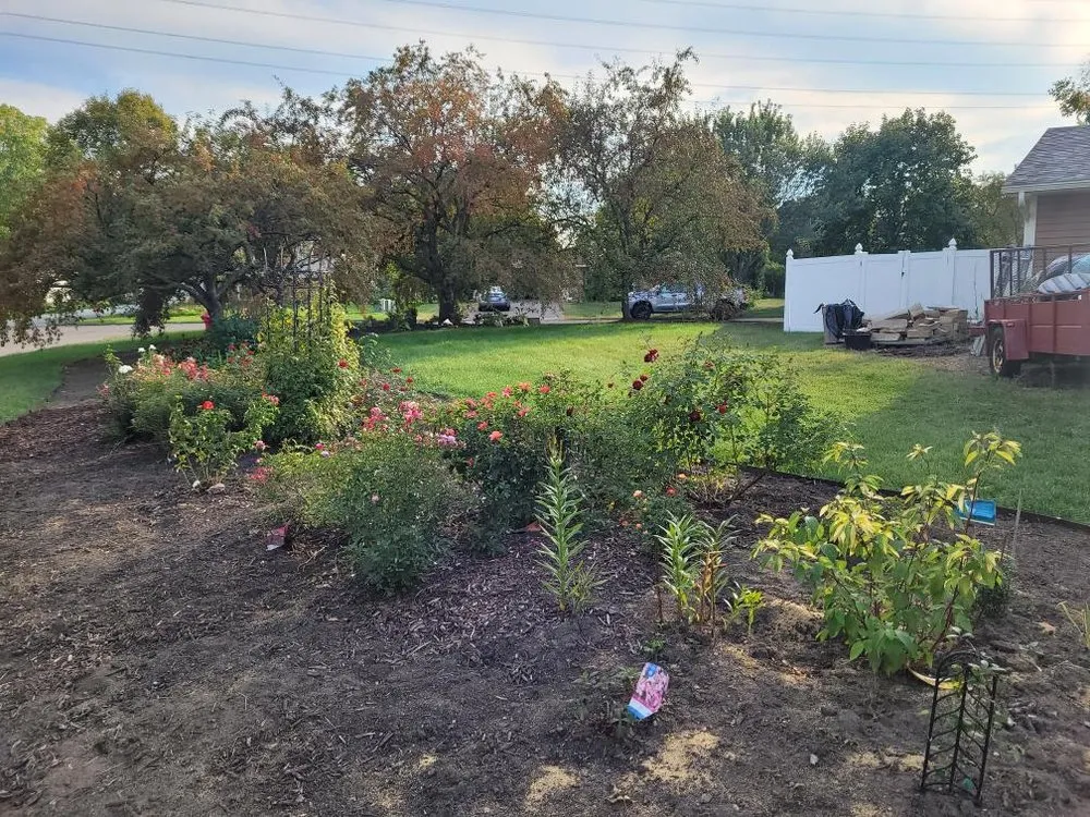 Top-rated lawn care service in Champlin, MN by Hook & Ladder Lawn Services