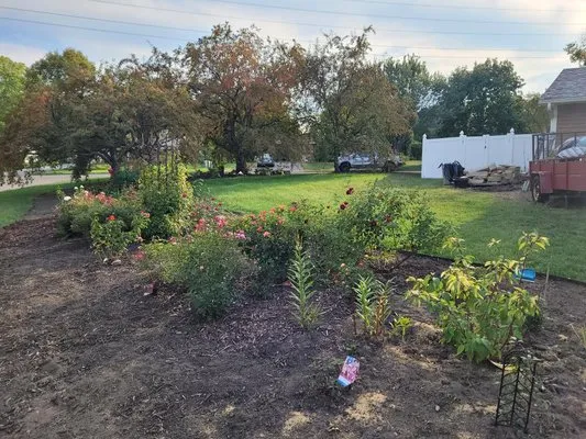 Hook & Ladder Lawn Services