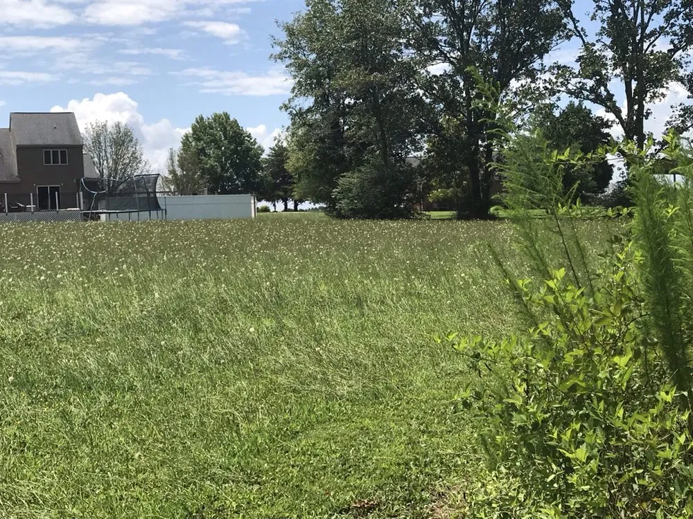 Custom residential landscaping for homes across Anderson, SC - Hook & Ladder Quality Lawn Care