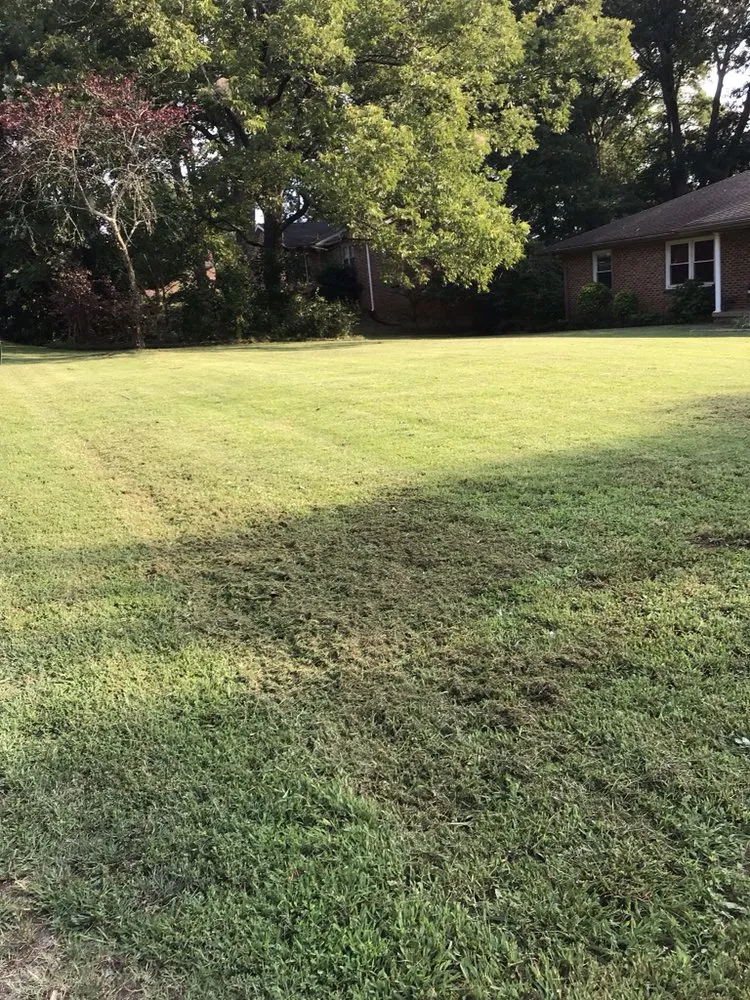 Custom residential landscaping for homes across Anderson, SC - Hook & Ladder Quality Lawn Care