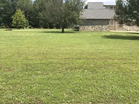 Hook & Ladder Quality Lawn Care Logo