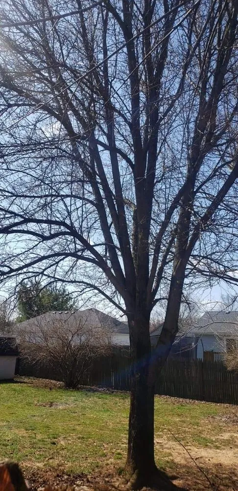 Trusted landscape installation in Georgetown, SC by Hook & Ladder Renovation's