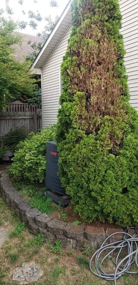 Custom landscaping services in Georgetown, SC by Hook & Ladder Renovation's