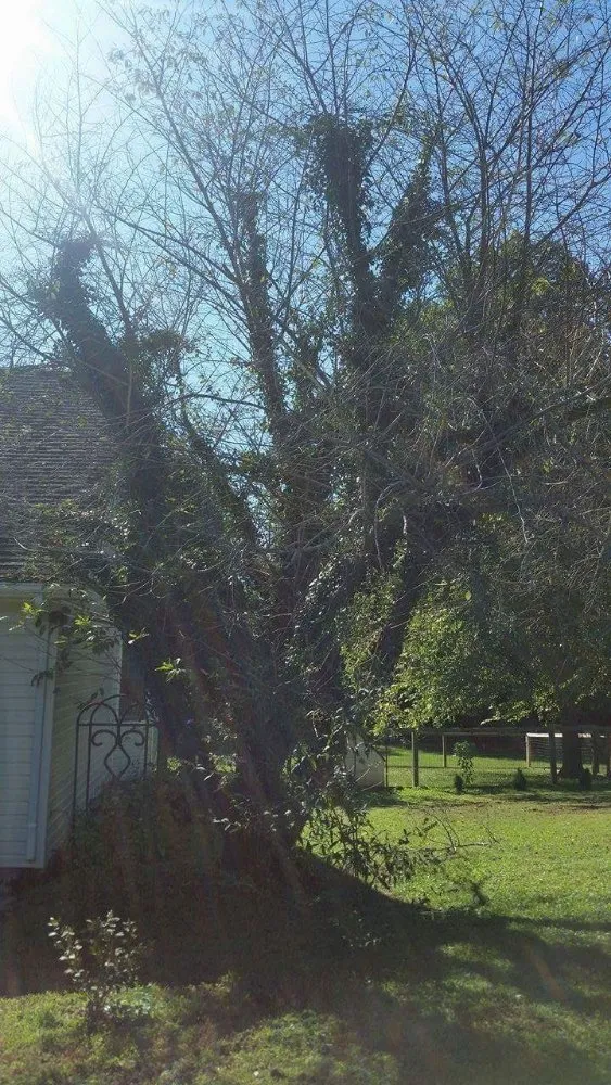 Custom landscape installation near you across Georgetown, SC - Hook & Ladder Renovation's