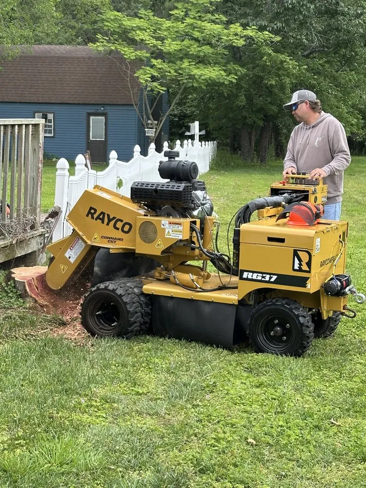 Trusted landscape design for homes across Poquoson, VA - Hook and Haul Stump Removal
