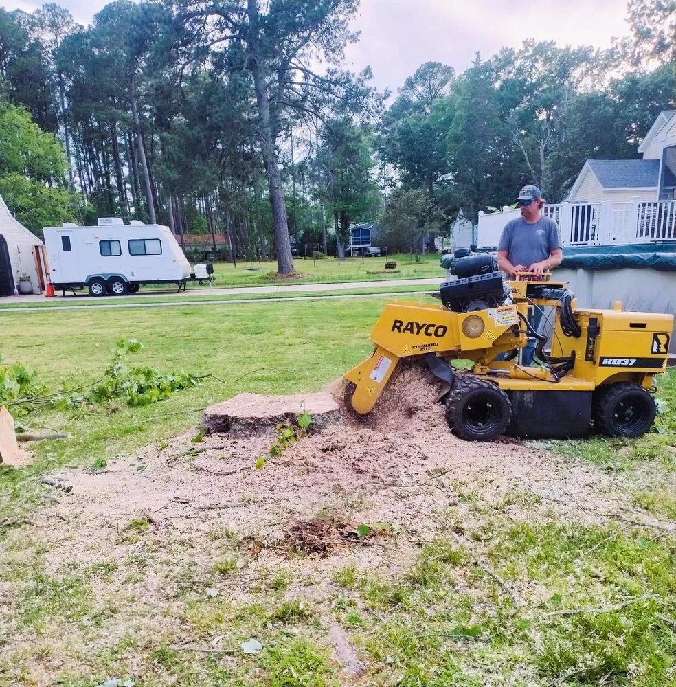 Reliable outdoor landscaping experts serving Poquoson, VA - Hook and Haul Stump Removal