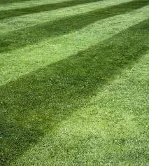 Reliable garden landscaping in Moravian Falls, NC by Hook and Ladder Landscaping